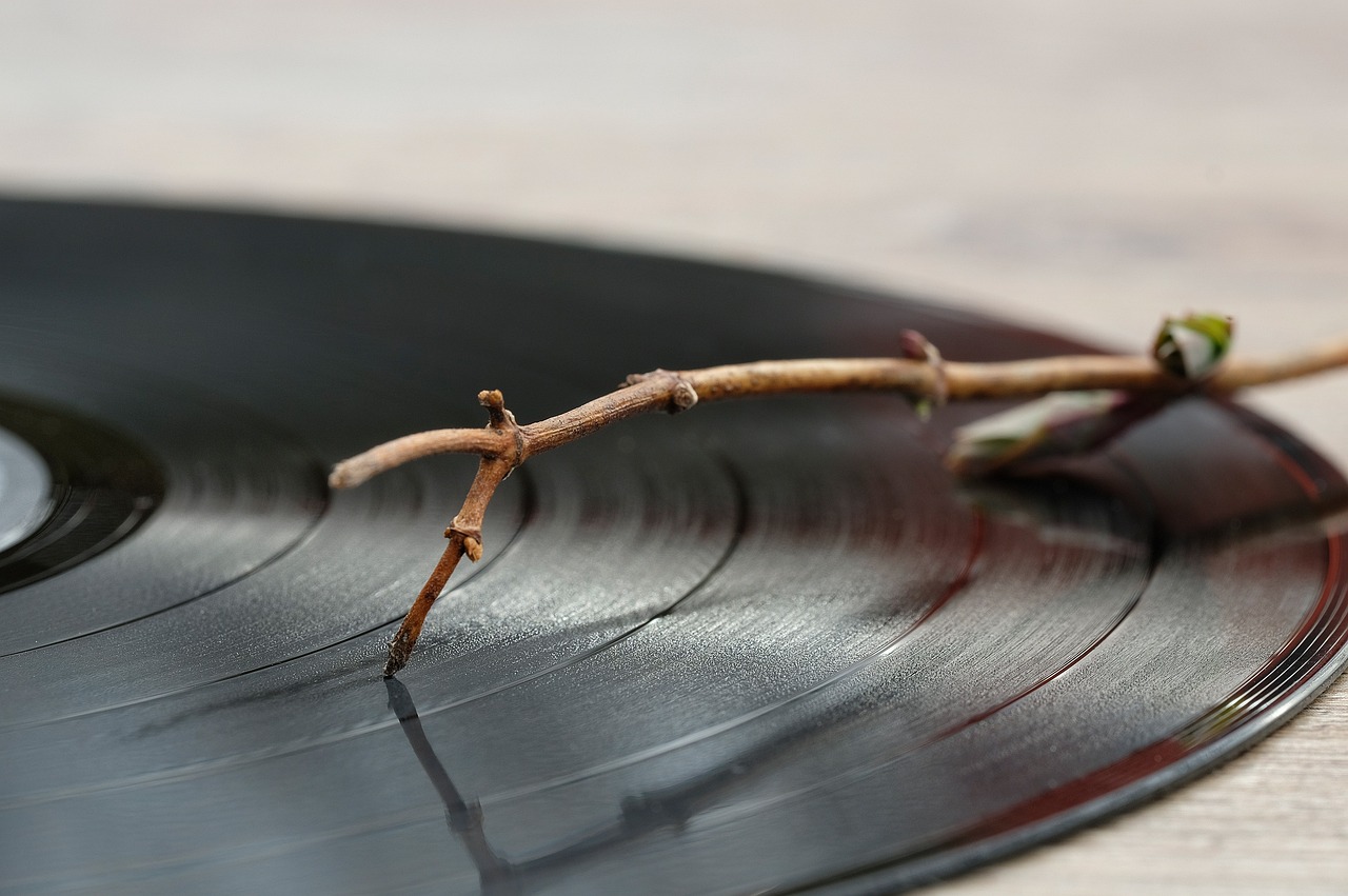 vinyl, lp hangkarral és hangszedővel, amely egy faág